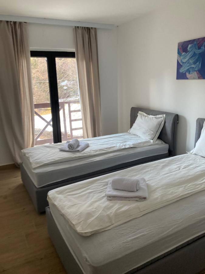 Vila Nina Kopaonik Apartment Luaran gambar