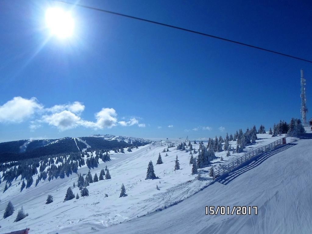 Vila Nina Kopaonik Apartment Luaran gambar