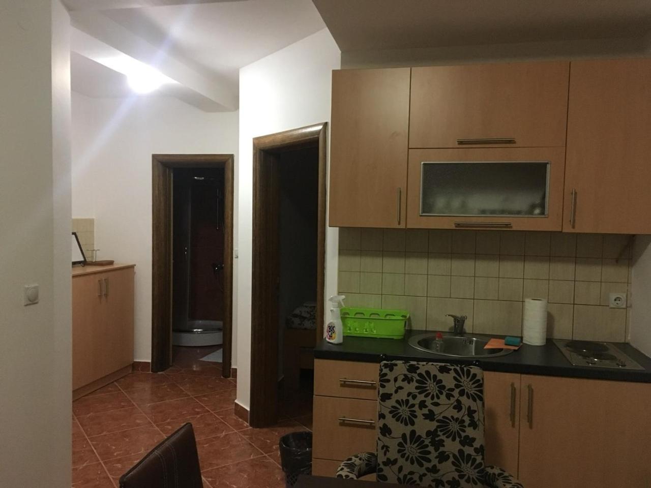 Vila Nina Kopaonik Apartment Luaran gambar